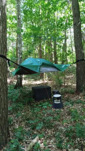 Baumzelt mitten im Wald bis 180kg in Selmsdorf, Deutschland