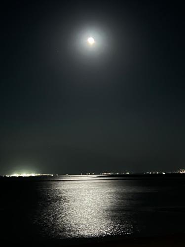 Moonlight Suite, Mashabbe Sade (fotografie 2)