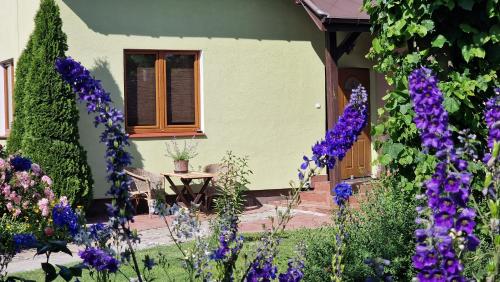 "Jabłonie i grusze" Nice home in a big garden with sauna and wifi