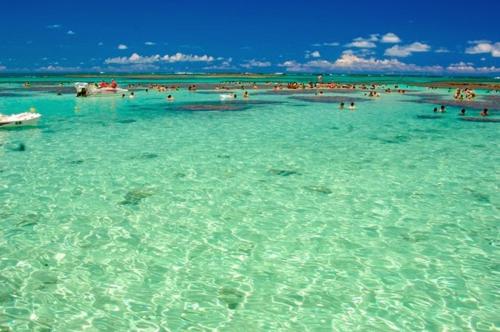 Surrounding environment, Pousada Pura Vida in Jatiuca
