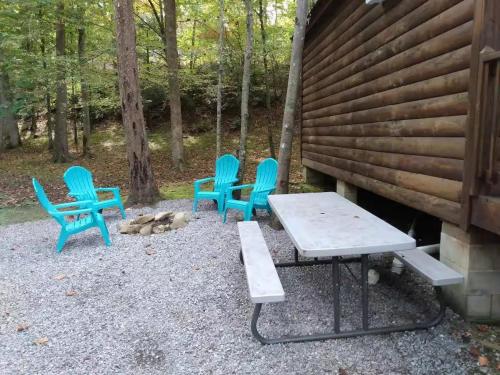 Pet Friendly Studio Cabin in Gatlinburg - image 3