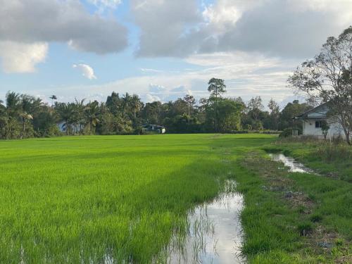 D'Bendang Homestay in ตุมปัต