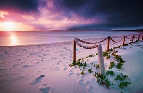 ทัศนียภาพภายนอกโรงแรม, Agriturismo Le Mimose in อาร์โบรีอา