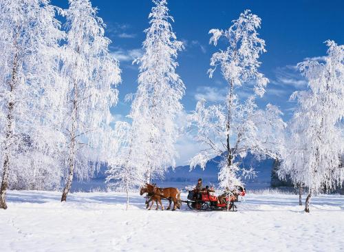 Seehotel Lilly - main image