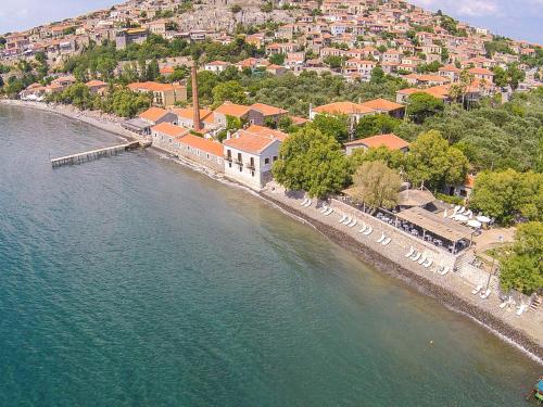 Olive Press Hotel - Lesvos Olive Press Hotel - Lesvos