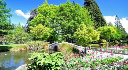 Base Backpackers Queenstown – Queenstown, CA