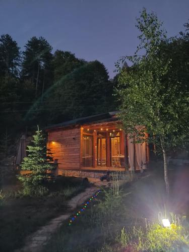 Wooden Mountain Villa in Berovo