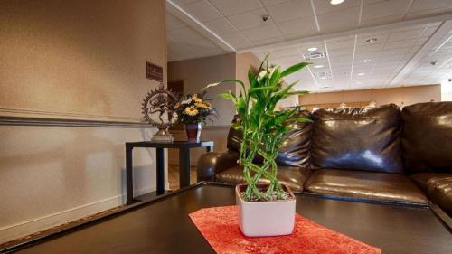 Quality Inn in Smyrna, USA