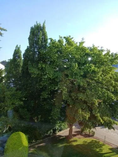 Ruhiges Appartment am Stadtpark in Nürnberg, Deutschland