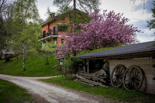 B&B Pian Savin 3