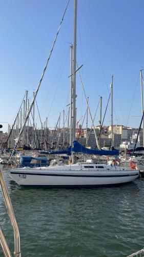 Lisbon Cosy Boat