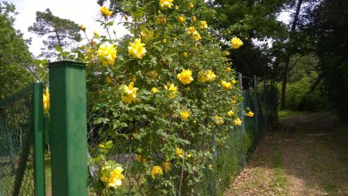 Villa La Colonia gîte à louer Lucignano