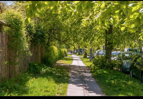 OakY, Kopenhagen (Foto 2)
