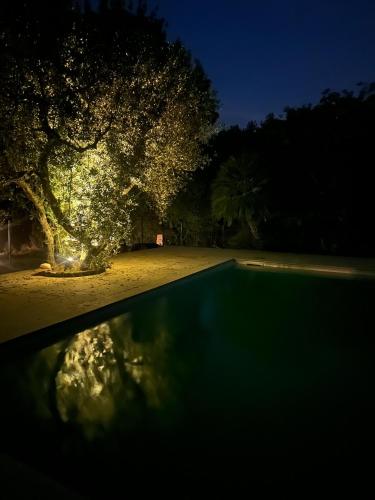 Le Porrine V in Castelnuovo di Val di Cecina