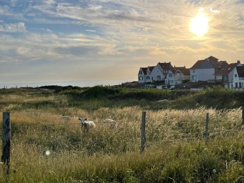 la maison Sel in Audresselles