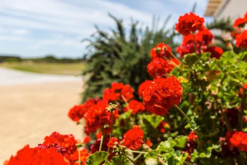 Wytonia Beachfront Accommodation