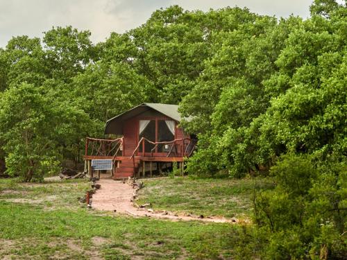 . Camp Savuti
