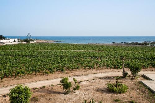 Firriato Hospitality - Calamoni di Favignana Apartments - image 7