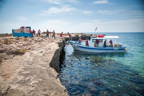 Firriato Hospitality - Calamoni di Favignana Apartments - image 9
