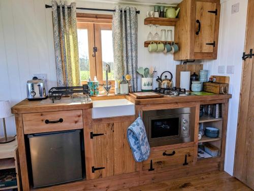 virtuve, Sycamore Shepherd's Hut in Witton Le Wear