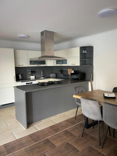 廚房, Prázdninový dům Vinohrad 97 (Prazdninovy dum Vinohrad 97) in 帕夫洛夫