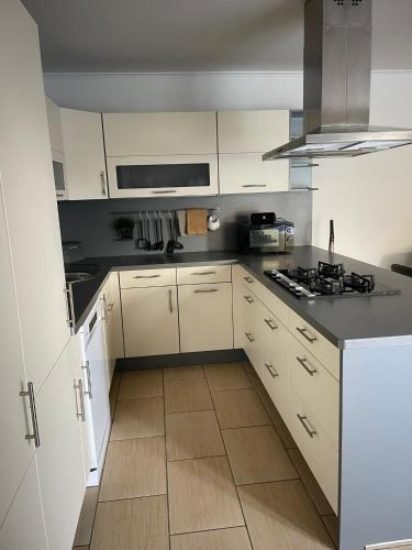 廚房, Prázdninový dům Vinohrad 97 (Prazdninovy dum Vinohrad 97) in 帕夫洛夫