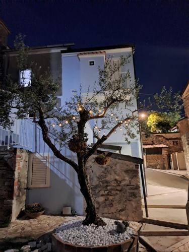 A Casa di Lucia-Appartamento Deluxe chambre d'hôte La Volla