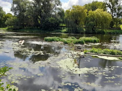 Appartement au calme avec Wifi, en Brenne - FR-1-591-754 in Saint-Gaultier