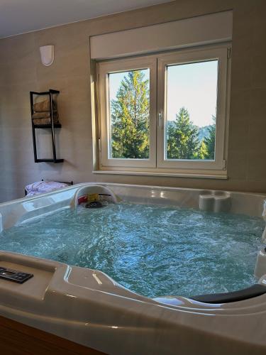 Spa, Villa Pika in 代爾尼采
