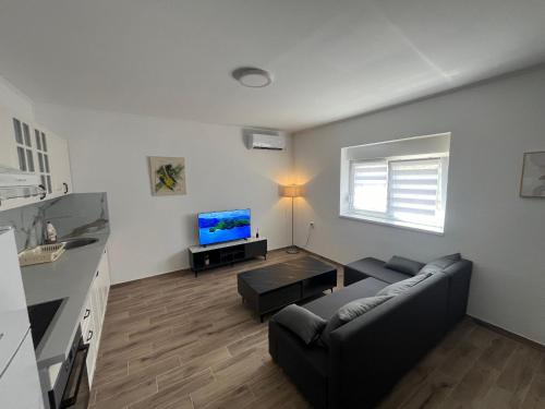 One-Bedroom Apartment image 10