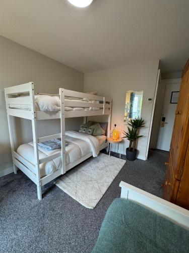 Cosy ensuite in heart of city, Dublin (photo 8)