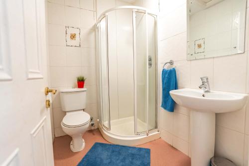 Bright Ensuite on Lower Baggot, Dublin (fotografie 6)