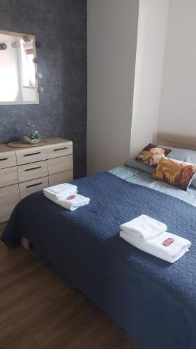 Apartament pod lasem