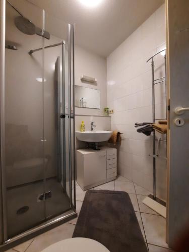 Ferienapartment LeMi, Drážďany (fotografie 9)