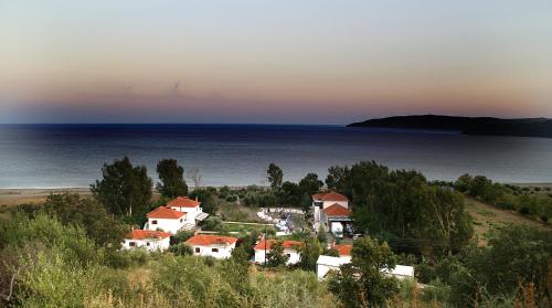 Mikro Xorio - Neon Oitilon