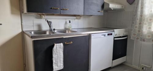 Seurala Sorsakosken kylätalo (Seurala Sorsakosken kylatalo) in Leppavirta