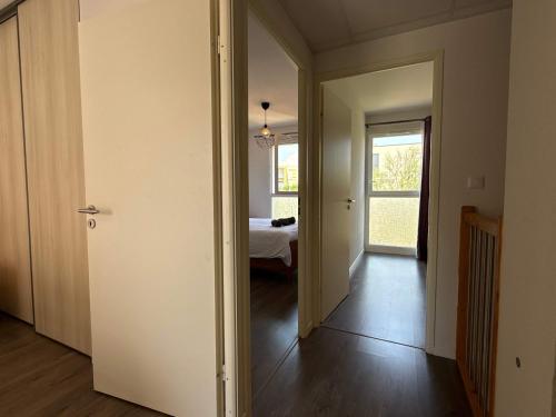 Rica LD51 - image 10