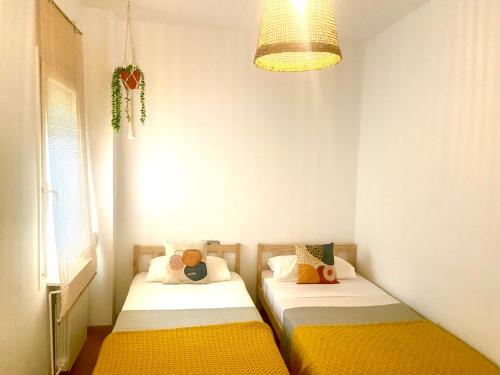 Tucan tropical in Sabadell