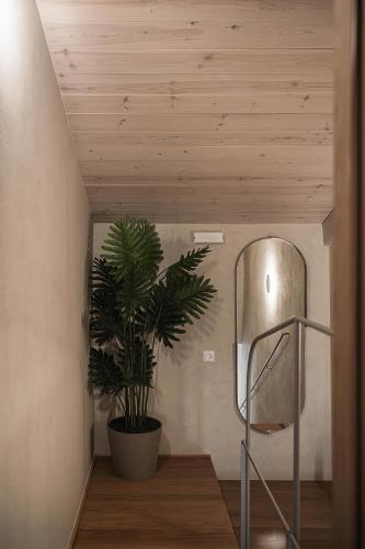 Two-Bedroom Superior Apartment image 4