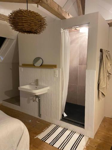 Le Brasseur Logements 5