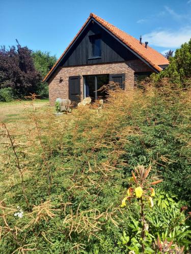  Ruim vakantie huis Marke Lemselo in de rust en natuur in Weerselo