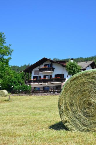 Hotel Garni Edy Hotel de charme Varena