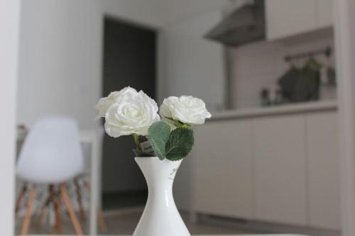 Apartment Iva, Split (photo 8)