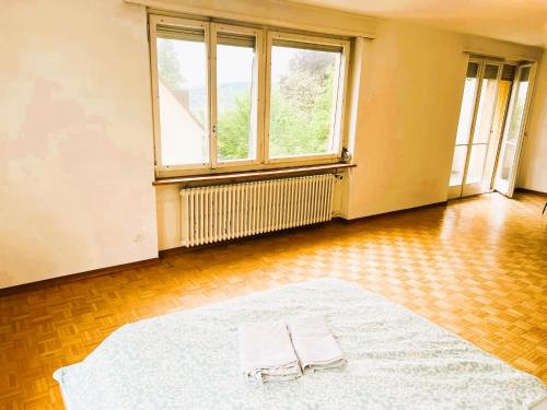 City Center Flats with Balcony & Garden View Rigi - Self Checkin, Curych (fotografie 9)