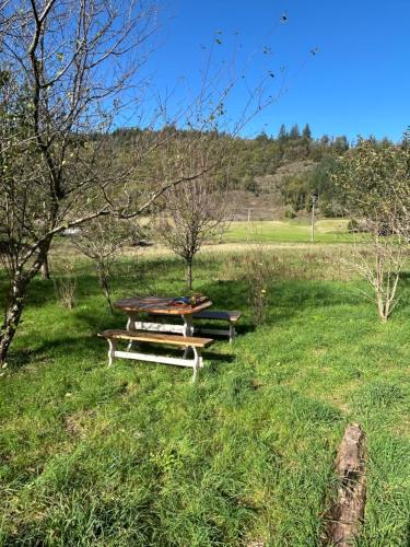 Chalet sur terrain arboré (Chalet sur terrain arbore) in Fayet (Midi-Pyrenees)