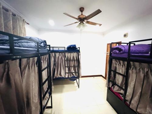 Bunk Bed in Mixed Dormitory Room image 2