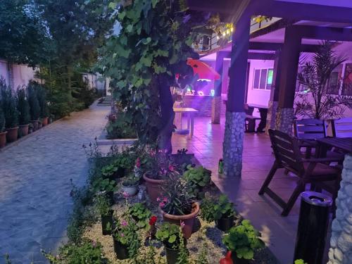 Vila Popoiu in Costinesti