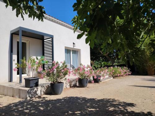 Villa avec piscine entre Marseille et Cassis in Eoures