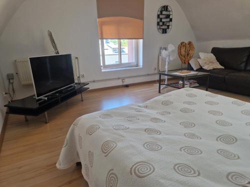 Apartament Wodzisław Śląski Blisko granicy