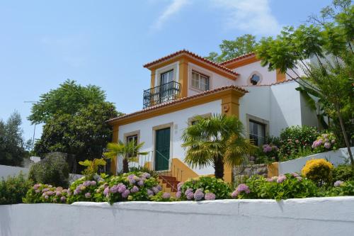 Viesnīcas āriene, Villa Marquês (Villa Marques) in Vila Nova da Barquinha